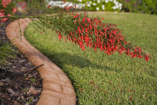 Brick Edging in Cuyahoga Falls
